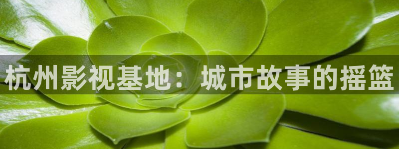 可可北冥夜全集免费播放：杭州影视基地：城市故事的摇篮