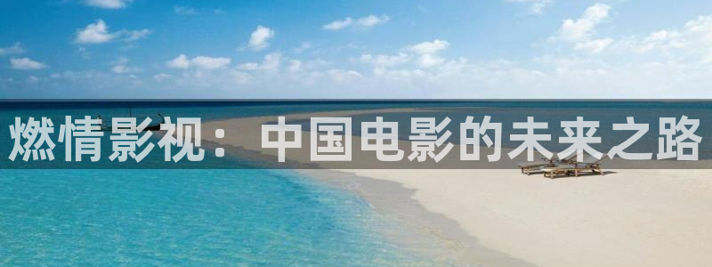 可可影视安装包：燃情影视：中国电影的未来之路