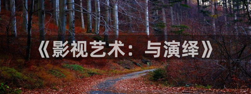 紫可可影视剧电视：《影视艺术：与演绎》