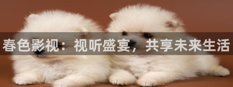 可可影视 官网