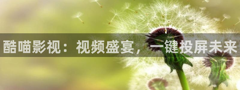 可可影视电视端：酷喵影视：视频盛宴，一键投屏未来