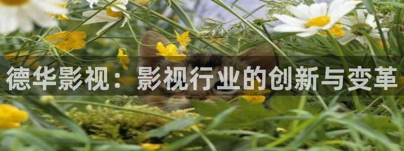 可可影视免费完整版：德华影视：影视行业的创新与变革