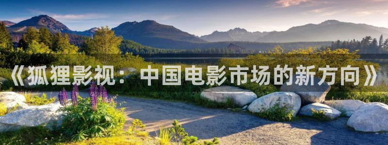可可影视官网入口网页版：《狐狸影视：中国电影市场的新方向》