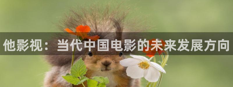 可可影视网址：他影视：当代中国电影的未来发展方向