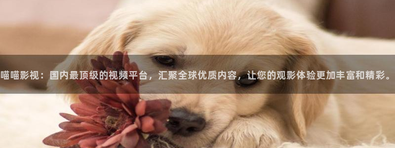 可可影视官方下载：喵喵影视：国内最顶级的视频平台，汇聚全球优质内容，让您的观影体验更加丰富和精彩。